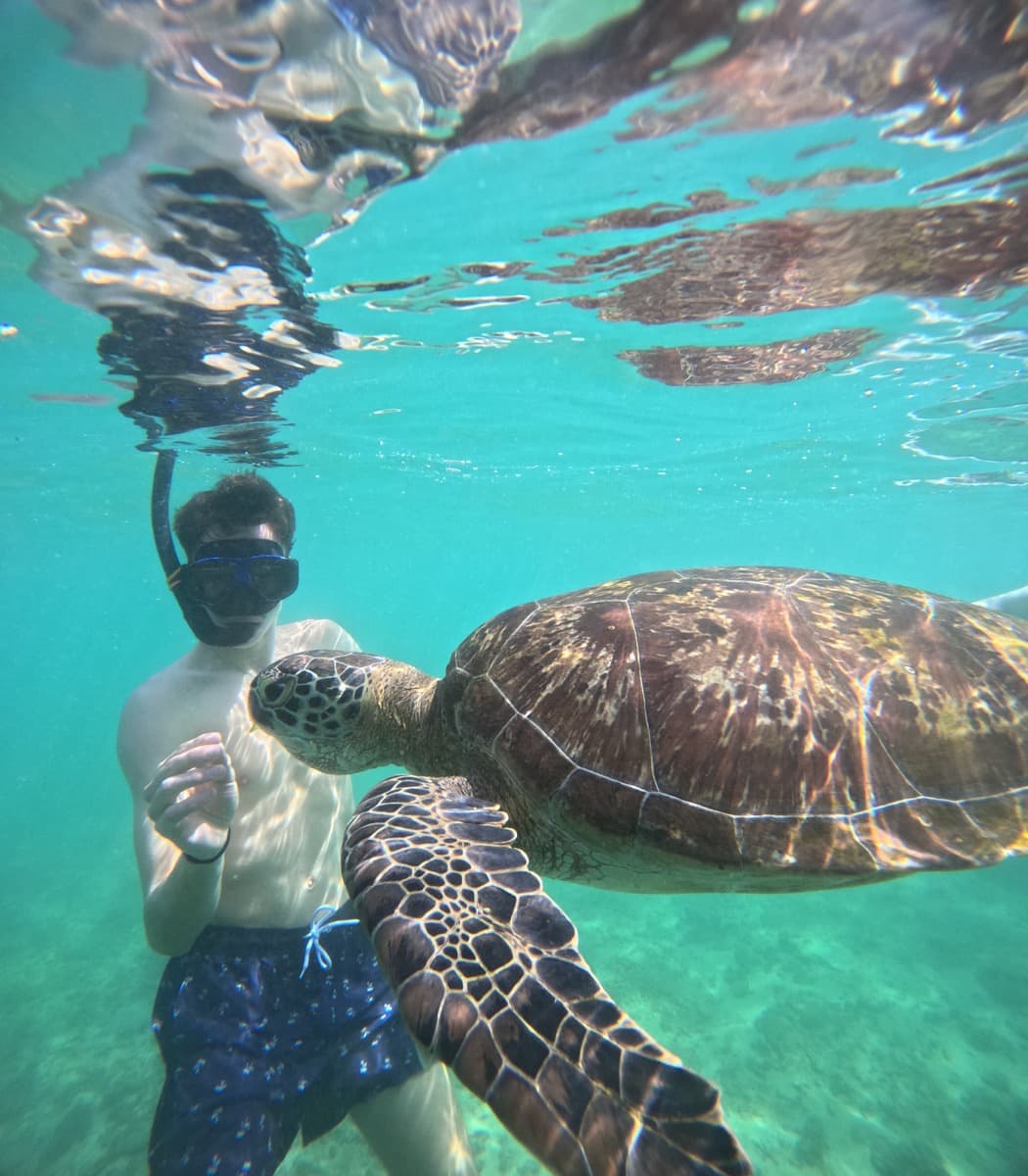 Dijak v vodi opazuje veliko morsko želvo, ki plava tik ob njem.